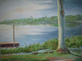 Everglades 1