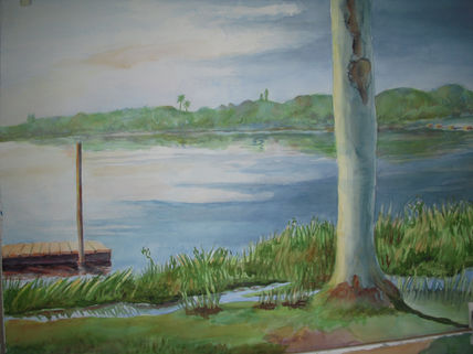 Everglades 1