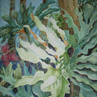 obra