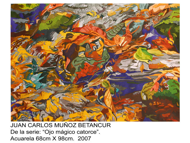 OJO MAGICO CATORCE(De la serie Ojo Magico)
