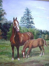 Caballos