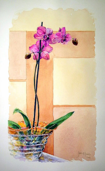 Orquídea Acuarela Papel Bodegones