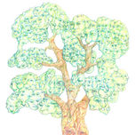 subdibujos thumbnail 1