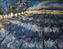 Camp de lavanda
