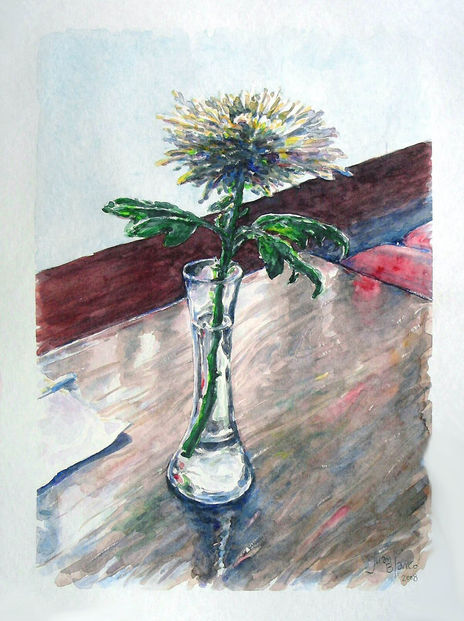 Dalia