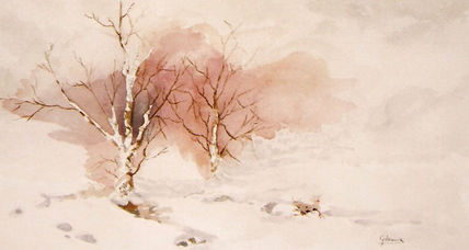 Arboles en Invierno
