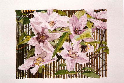 Flores 5