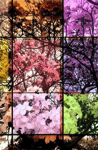 color