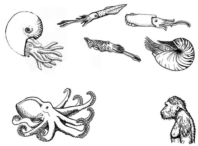 mix de ilustraciones