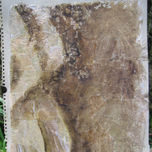 "desnudos" thumbnail 1