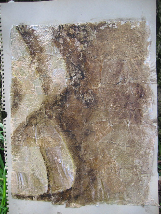 desnudos6