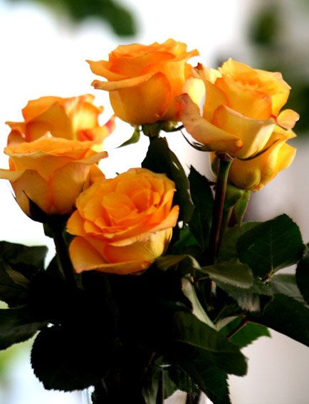 flor1