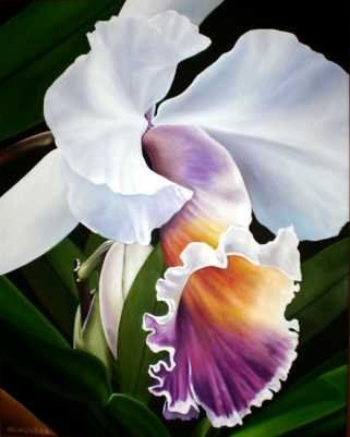 Orquídea Natural Oil Canvas Floral Painting