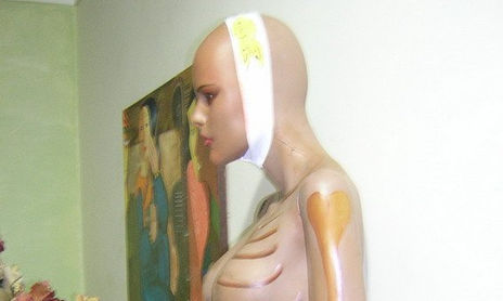 investigando sobre anorexia