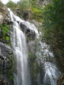 Agua en libertad