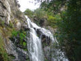 Naturaleza viva