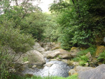 Piedras en el río