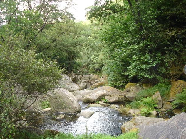 Piedras en el río 