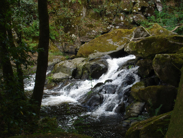 Pequeña cascada 