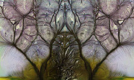 TEXTURAS