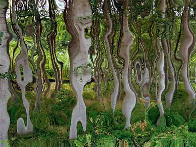 ARBOLES