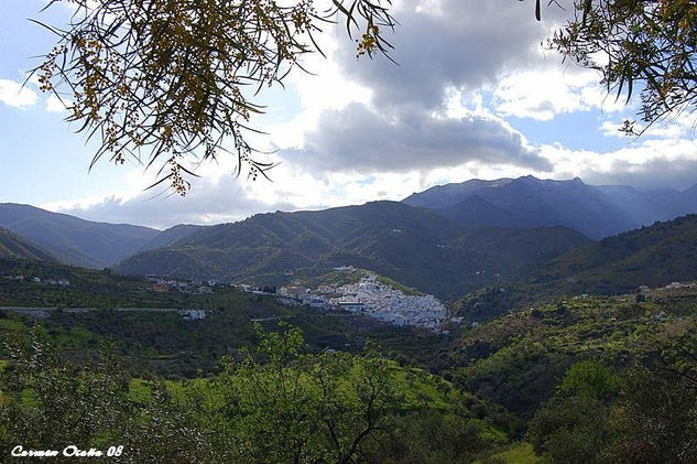 Vista Panorámica de Tolox. Otras temáticas Color (Digital)