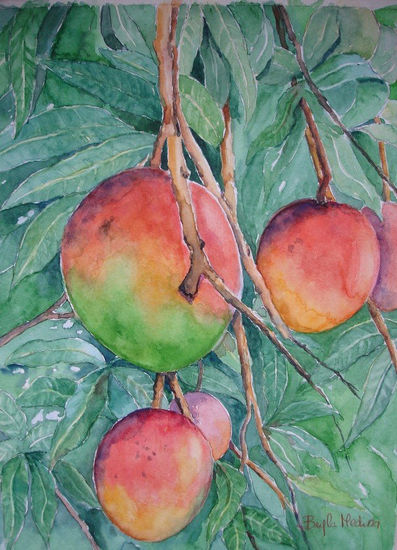 Mangos a punto de caer Watercolour Paper Others