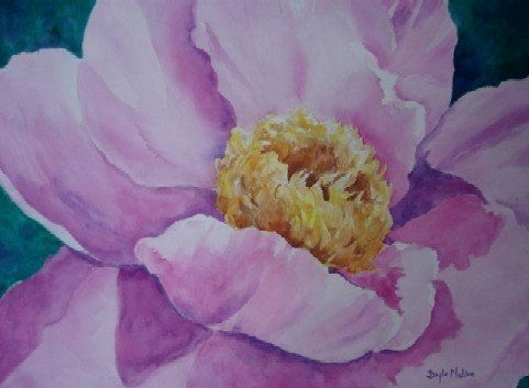 Dulce Peonia Watercolour Paper Floral Painting