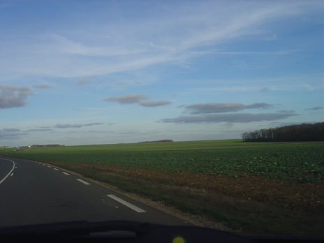 Camino  a  casa