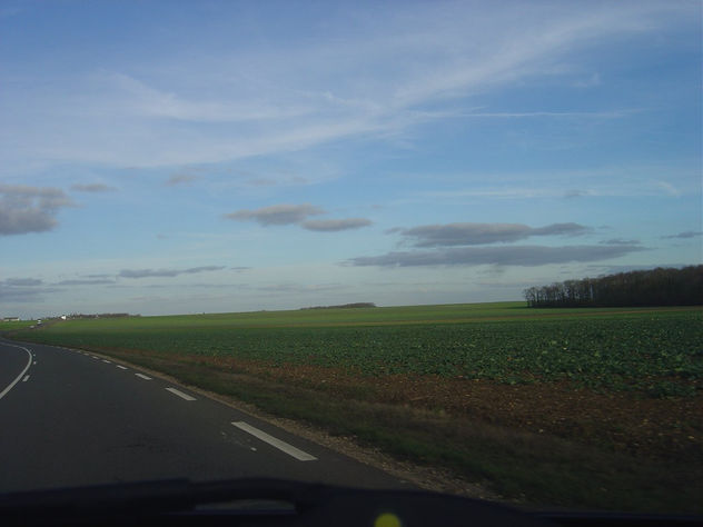 camino  a  casa