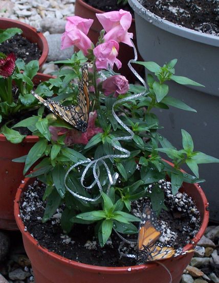 Mariposas y conejitos