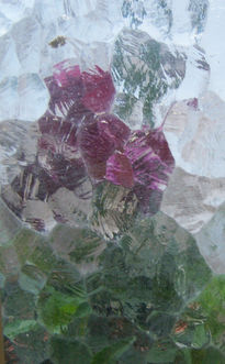 Formas y textura I