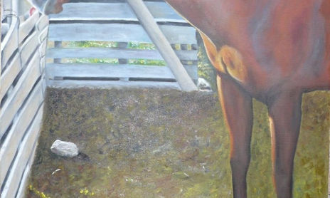 ANIMALES