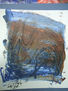 NUDITY OF COLOURS XXIX B