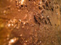 Detalle
