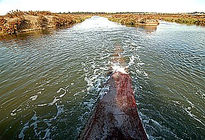 En el amazonas