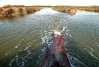 En el amazonas 