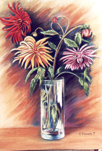 Dalias en vaso