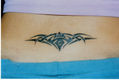 TRIBAL1