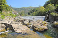 Salmoneros zipitoste maggic