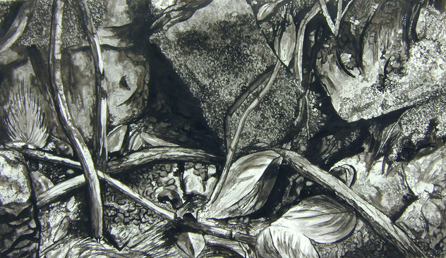 CÒDIGO CATORCE (De la serie còdigos)
