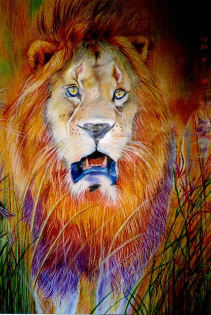 León salvaje