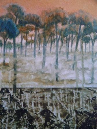 Pinos de roche