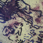 Triptico thumbnail 1