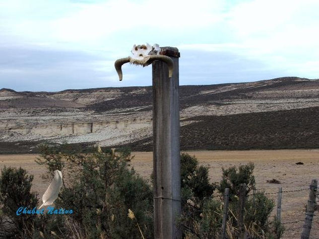 Meseta y Soledad. 