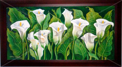 White calla lilies
