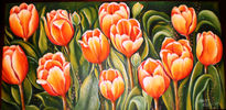 Orange tulips