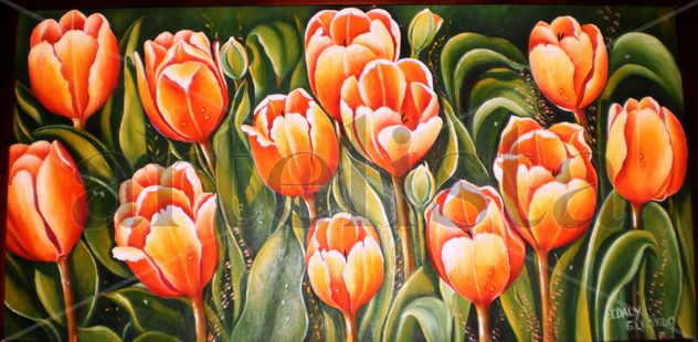 Orange tulips