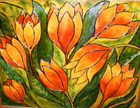 Orange tulips