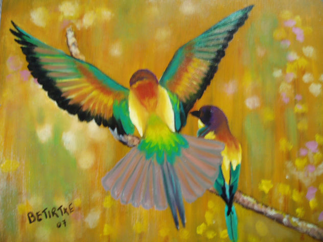 a volar